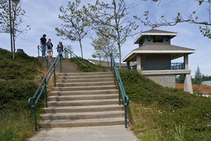 Students walking up a flight of stairs